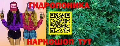 spice Севастополь