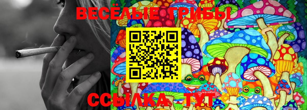 Псилоцибиновые грибы мицелий  закладка  Галлюциногенные грибы MAGIC MUSHROOMS  Псков  Вход с VPN 