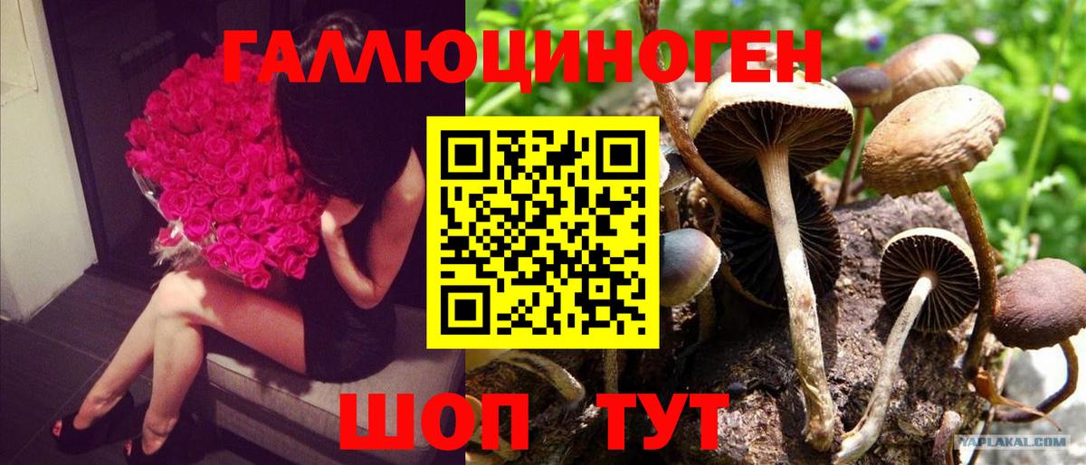 Галлюциногенные грибы GOLDEN TEACHER Псков